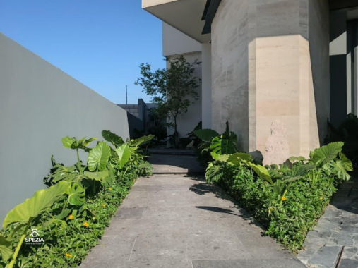 property_image